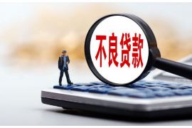 宛城融资清欠服务