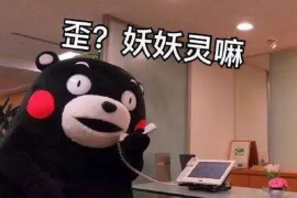 宛城债务清欠服务